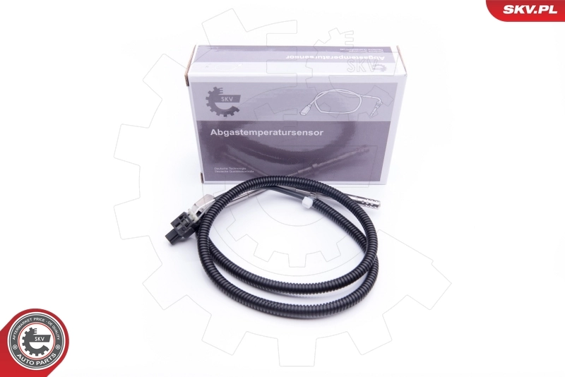Sensor, exhaust gas temperature